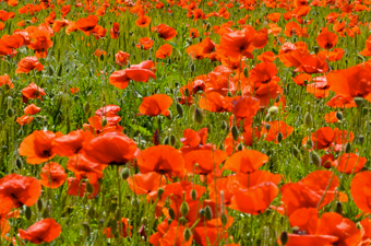 Réferences Thorens énergies